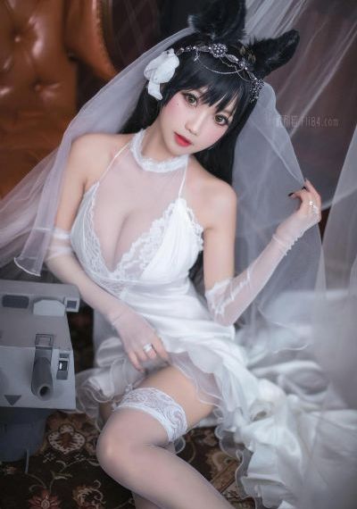 美女视频综合网_4K免费观看
