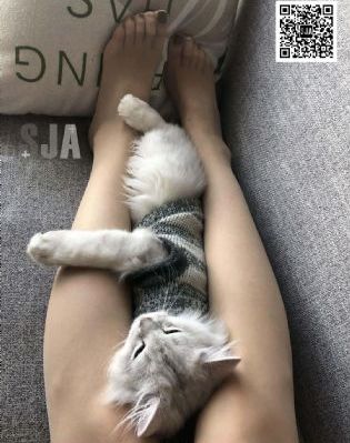 赵丽颖AI换脸造梦_清晰免费影视在线观看