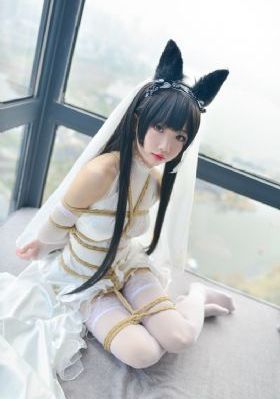 卡通动漫日本护士视频_BD高清视频播放